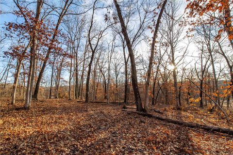 Tiny photo for 00 Pike 132, Bowling Green, MO 63334 (MLS # 25000449)