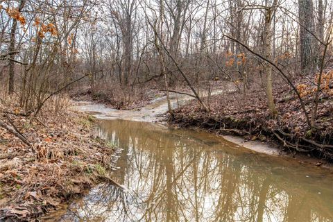 Tiny photo for 00 Pike 132, Bowling Green, MO 63334 (MLS # 25000449)