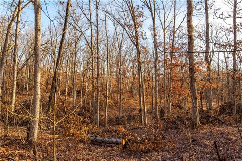 Tiny photo for 00 Pike 132, Bowling Green, MO 63334 (MLS # 25000449)