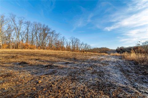 Tiny photo for 00 Pike 132, Bowling Green, MO 63334 (MLS # 25000449)