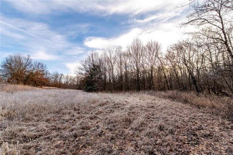 Tiny photo for 00 Pike 132, Bowling Green, MO 63334 (MLS # 25000449)