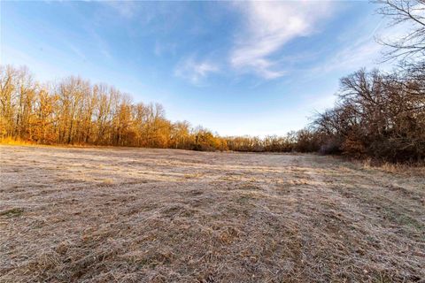 Tiny photo for 00 Pike 132, Bowling Green, MO 63334 (MLS # 25000449)
