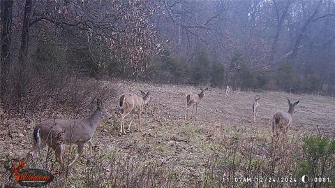 Tiny photo for 00 Pike 132, Bowling Green, MO 63334 (MLS # 25000449)