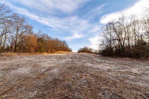 Tiny photo for 00 Pike 132, Bowling Green, MO 63334 (MLS # 25000449)