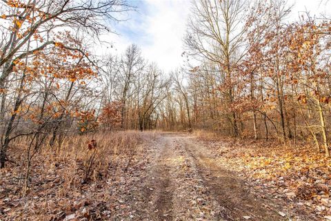 Tiny photo for 00 Pike 132, Bowling Green, MO 63334 (MLS # 25000449)