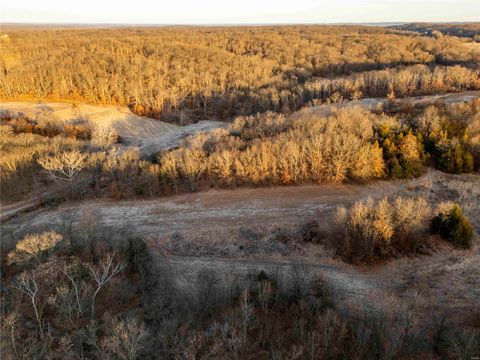Tiny photo for 00 Pike 132, Bowling Green, MO 63334 (MLS # 25000449)