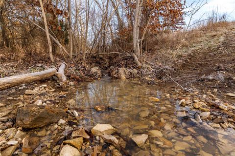 Tiny photo for 00 Pike 132, Bowling Green, MO 63334 (MLS # 25000449)