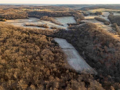 Tiny photo for 00 Pike 132, Bowling Green, MO 63334 (MLS # 25000449)