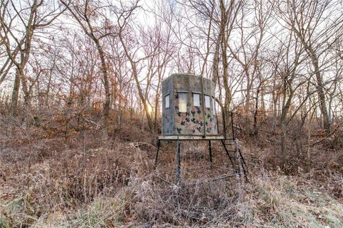 Tiny photo for 00 Pike 132, Bowling Green, MO 63334 (MLS # 25000449)