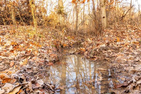 Tiny photo for 00 Pike 132, Bowling Green, MO 63334 (MLS # 25000449)