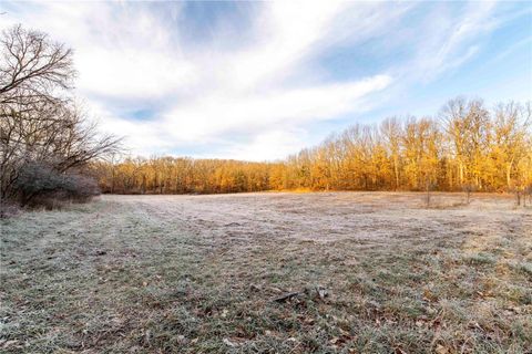 Tiny photo for 00 Pike 132, Bowling Green, MO 63334 (MLS # 25000449)