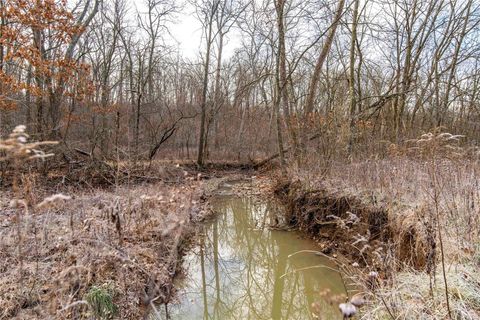Tiny photo for 00 Pike 132, Bowling Green, MO 63334 (MLS # 25000449)