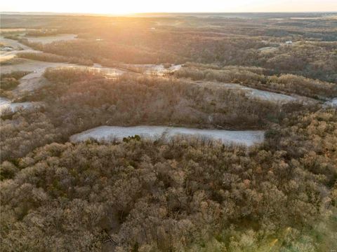 Tiny photo for 00 Pike 132, Bowling Green, MO 63334 (MLS # 25000449)