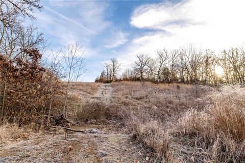 Tiny photo for 00 Pike 132, Bowling Green, MO 63334 (MLS # 25000449)