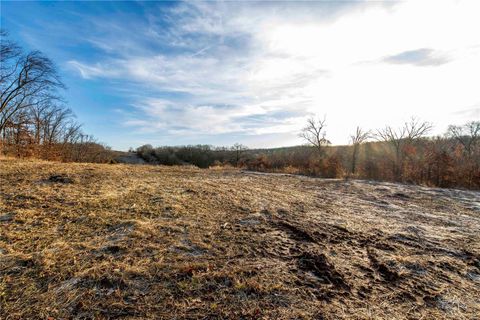 Tiny photo for 00 Pike 132, Bowling Green, MO 63334 (MLS # 25000449)
