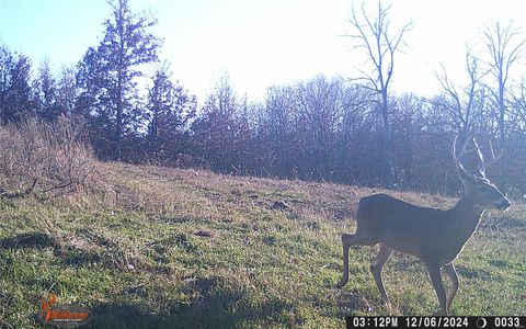 Tiny photo for 00 Pike 132, Bowling Green, MO 63334 (MLS # 25000449)
