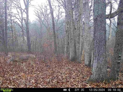 Tiny photo for 00 Pike 132, Bowling Green, MO 63334 (MLS # 25000449)
