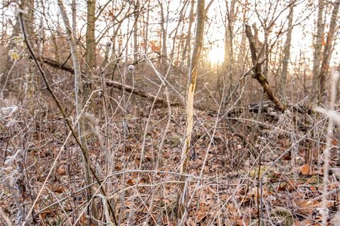 Tiny photo for 00 Pike 132, Bowling Green, MO 63334 (MLS # 25000449)