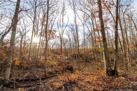 Tiny photo for 00 Pike 132, Bowling Green, MO 63334 (MLS # 25000449)