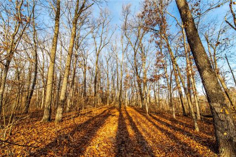 Tiny photo for 00 Pike 132, Bowling Green, MO 63334 (MLS # 25000449)