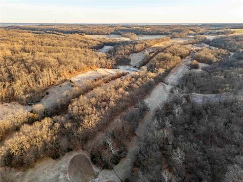 Tiny photo for 00 Pike 132, Bowling Green, MO 63334 (MLS # 25000449)