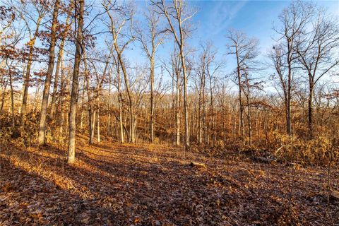 Tiny photo for 00 Pike 132, Bowling Green, MO 63334 (MLS # 25000449)
