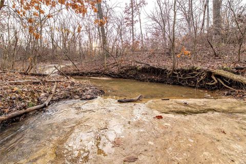 Tiny photo for 00 Pike 132, Bowling Green, MO 63334 (MLS # 25000449)