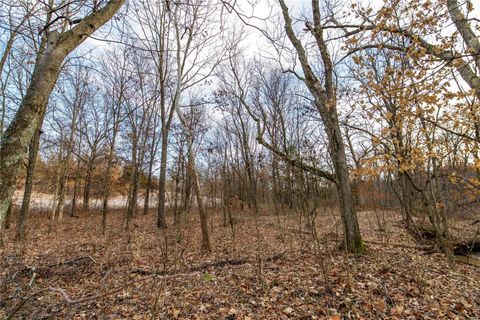 Tiny photo for 00 Pike 132, Bowling Green, MO 63334 (MLS # 25000449)
