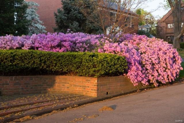 Lake Forest - Residential