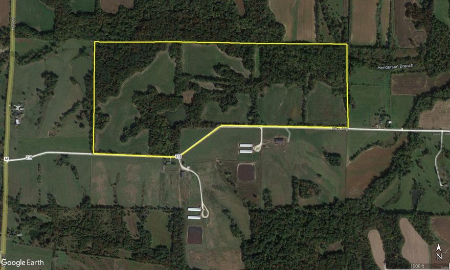 Highly sought after Pike County, MO combination farm. This 134 acre tract includes 60+/- acres tillable currently rented on a 1/3 - 2/3 crop lease. Phenomenal deer and turkey hunting. Hunting lease bid for 2022-2023 for $4,500. Secluded 2 acre lake on property. 3/4 mile road frontage.