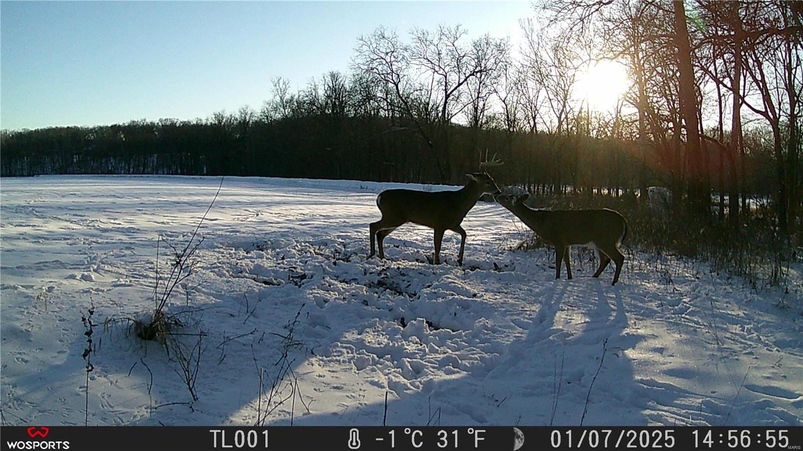 None, N/A - Residential