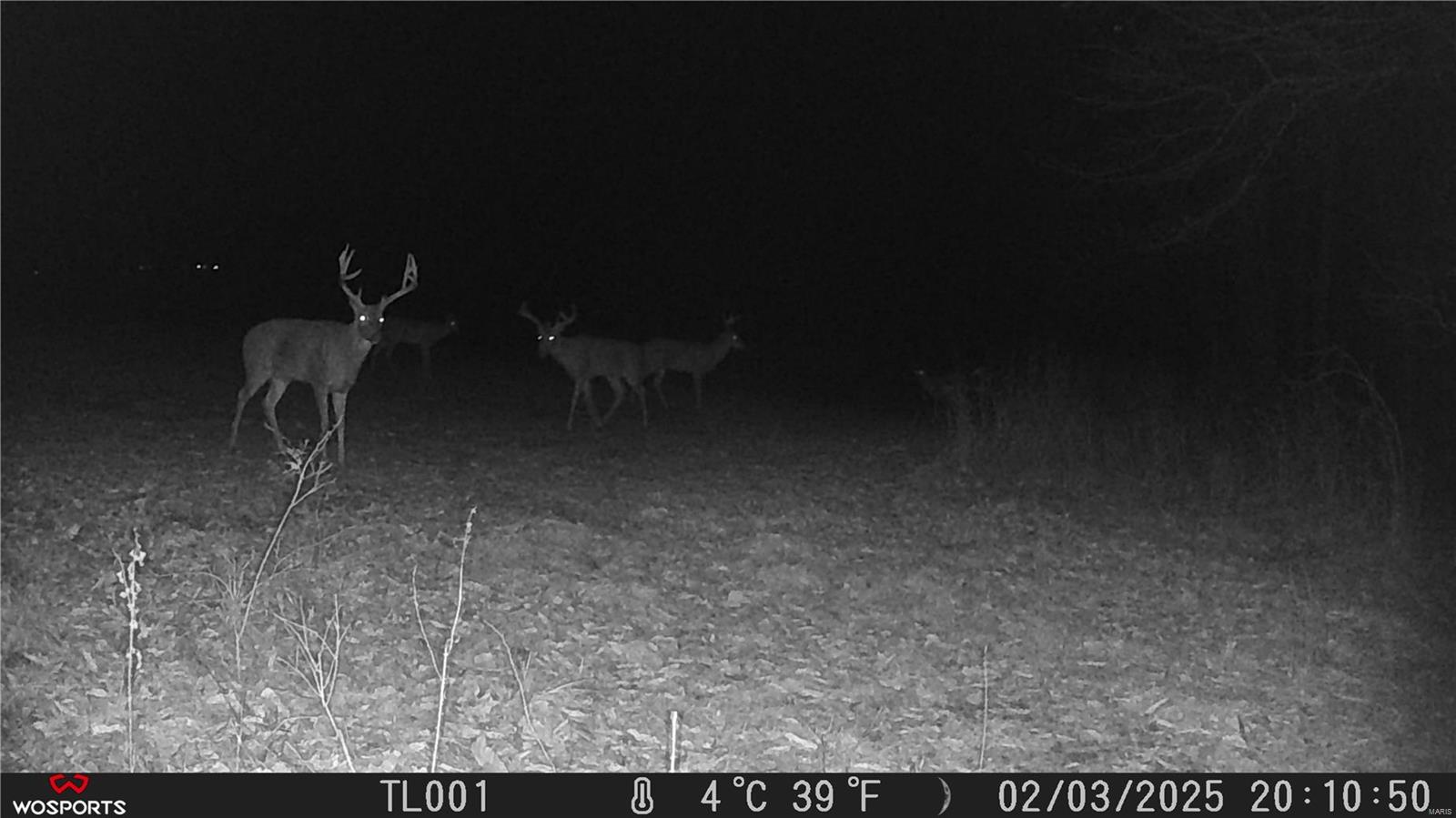 None, N/A - Residential