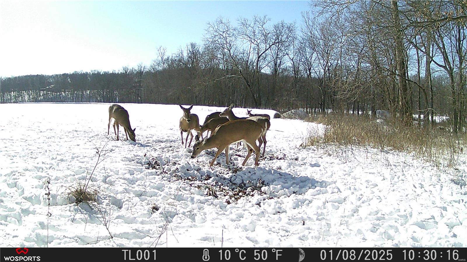 None, N/A - Residential