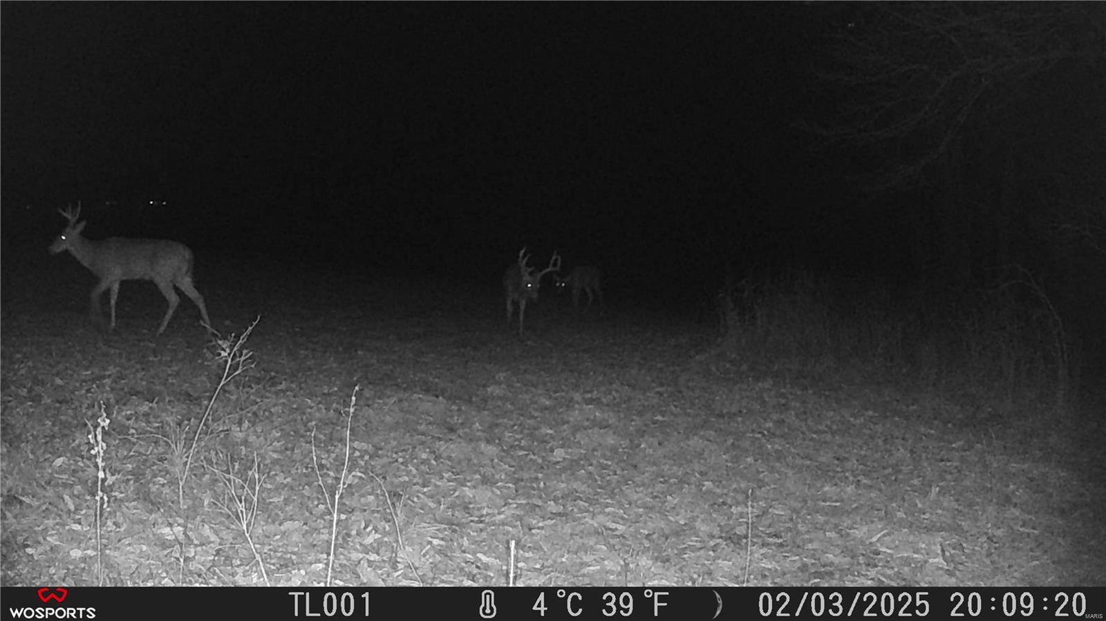 None, N/A - Residential