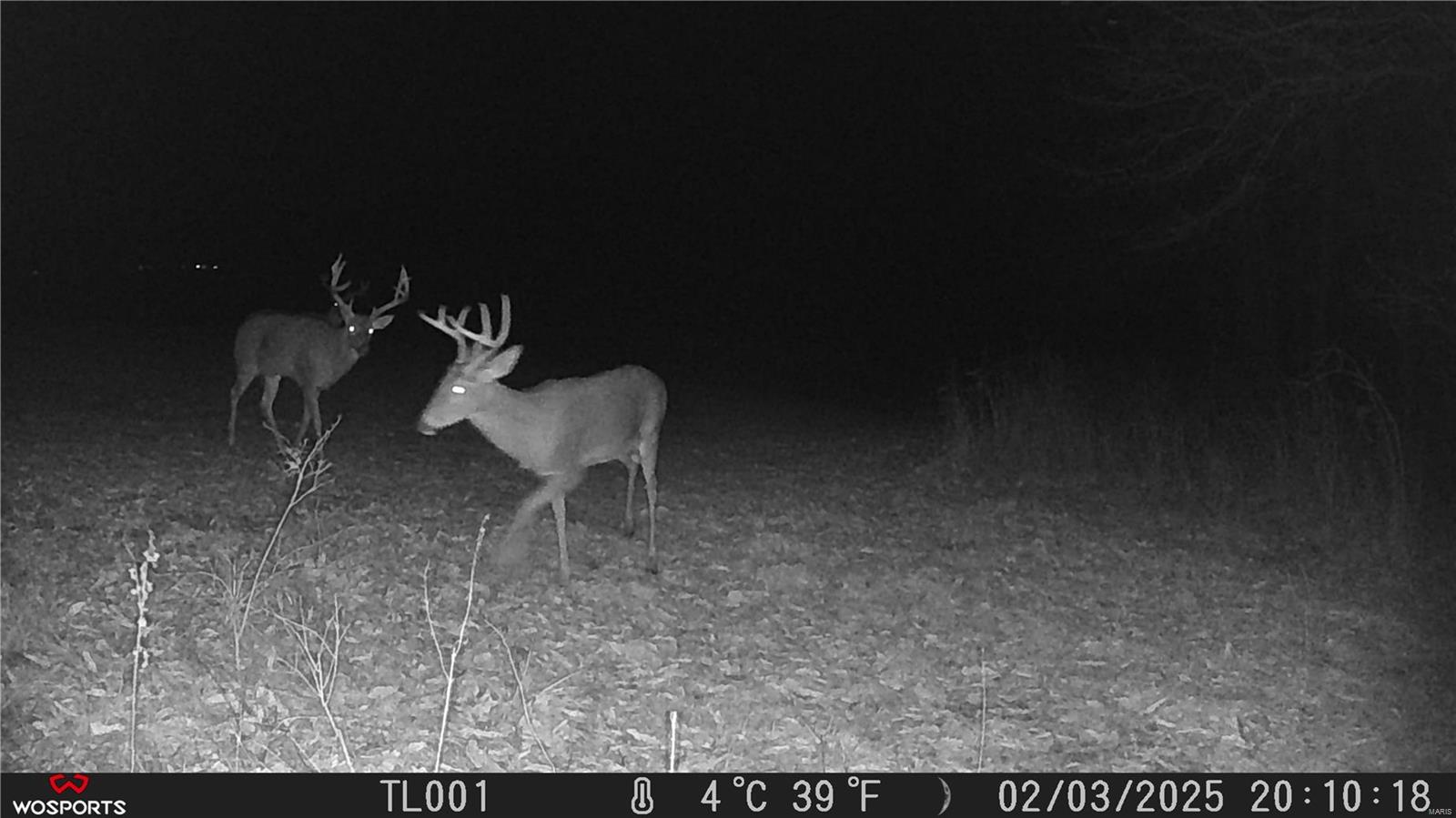 None, N/A - Residential