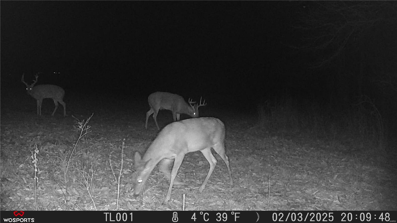 None, N/A - Residential