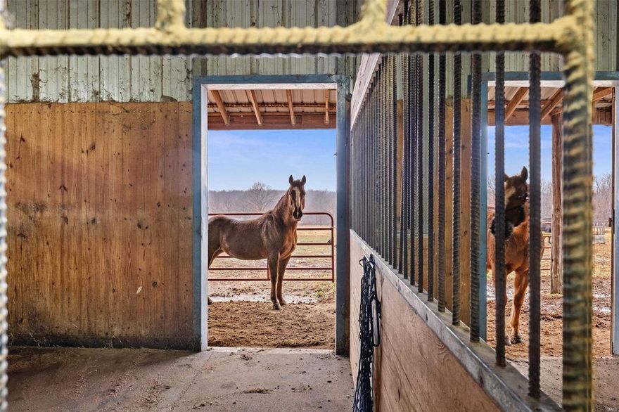 A Horse Lovers Dream! Welcome to your very own private "Ranch", with 38 acres of country gold. Nestled in the small town of Curryville, MO. Property includes 16 tillable acres and 2 fenced in pastures ready for cattle and/or horses. Your future "ranch" is home to a 180x90 indoor horse arena, with a 54x45 barn inside set up with 6 horse stalls, 4 of them turnouts leading into a 100x200 dry arena. With a full tack room, feed room, and wash room within the arena.  The beautiful 2600 sq ft home on the property is boasting an open concept, with kitchen, great room, and dining all under 12ft vaulted ceiling. This home offers 4 bedrooms and 3 full bathrooms. The master suit has 2 walk in closets and radiant heated floor in the master bathroom. Enjoy the wildlife as you sit on the covered front porch.
This listing is a duplicate of MLS #23074511 Some Accessible Features