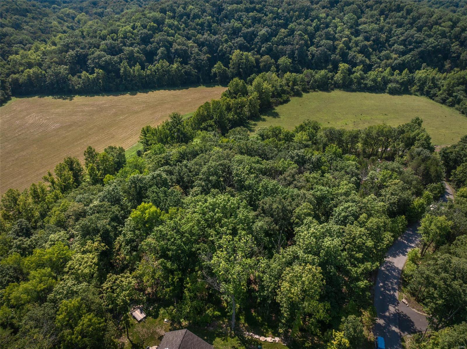 2545 Alpine Woods Drive