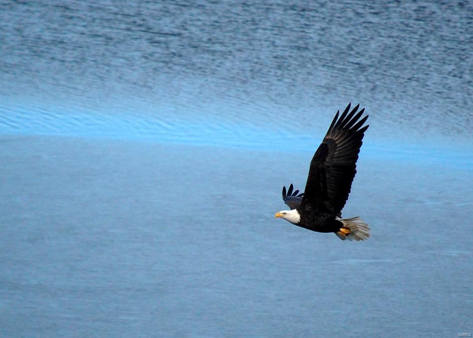 Regatta Bay #1 - Residential