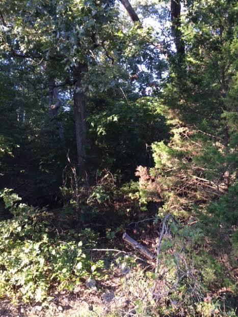 Incline Village - Land