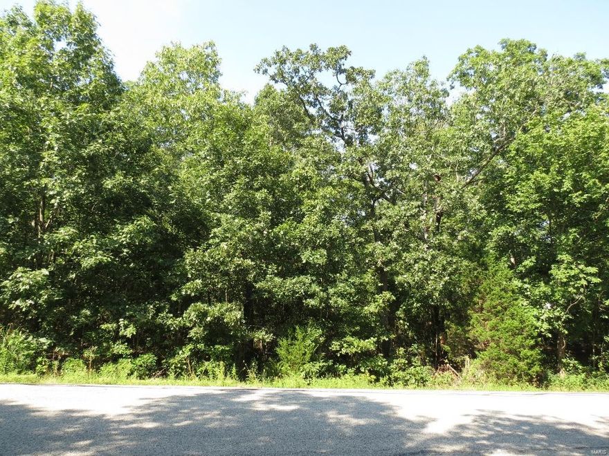 Beautiful, gently rolling homesite available for your own selection of your dream custom build! Check out this quiet street in highly-sought after Incline Village, a community full of amenities! Owner has ordered survey and it should be available by 9/5/15. Additional Rooms: In Platted Subdv.