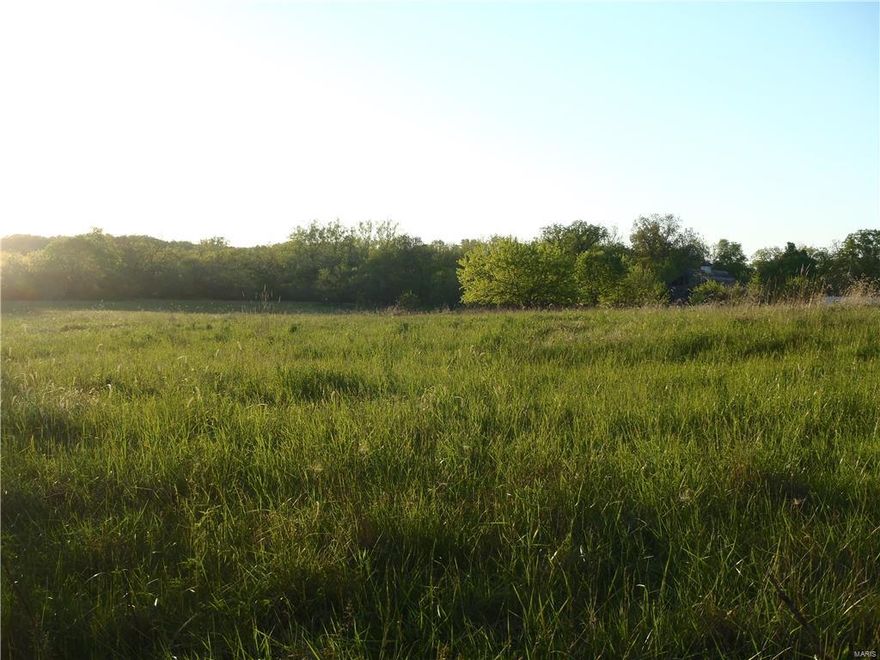 374 acres m/l in western Lincoln County. Farm fronts on Hwy DD and County Road. Supreme hunting farm with Bear Creek frontage. Large machine shed on property. Approx. 1/3 open and balance in timber. Some of the acreage could go back into pasture or livestock production. Abundant wildlife.