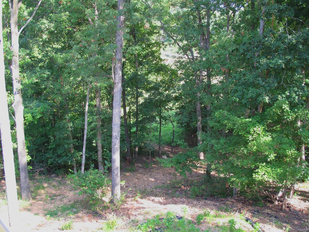 Breeden Mountain - Residential