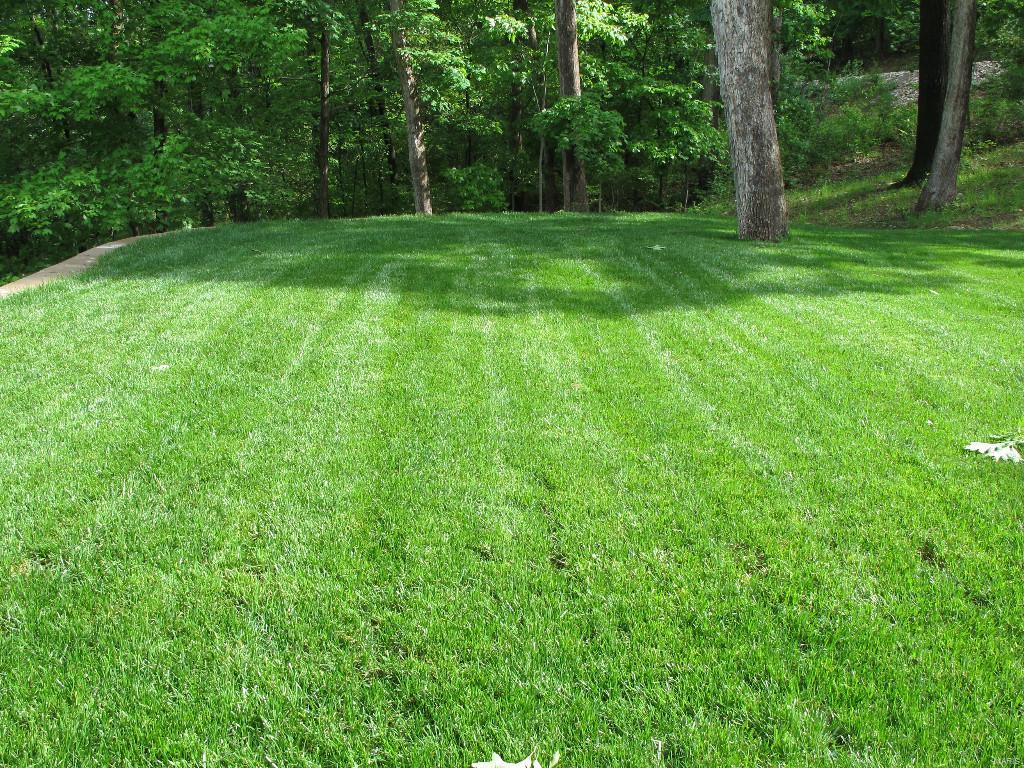 Breeden Mountain - Residential