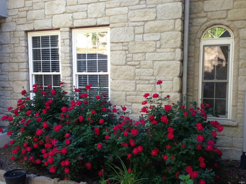 Breeden Mountain - Residential