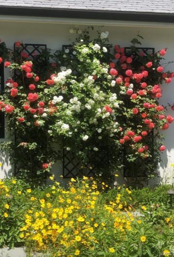 Lancashire Gardens - Residential