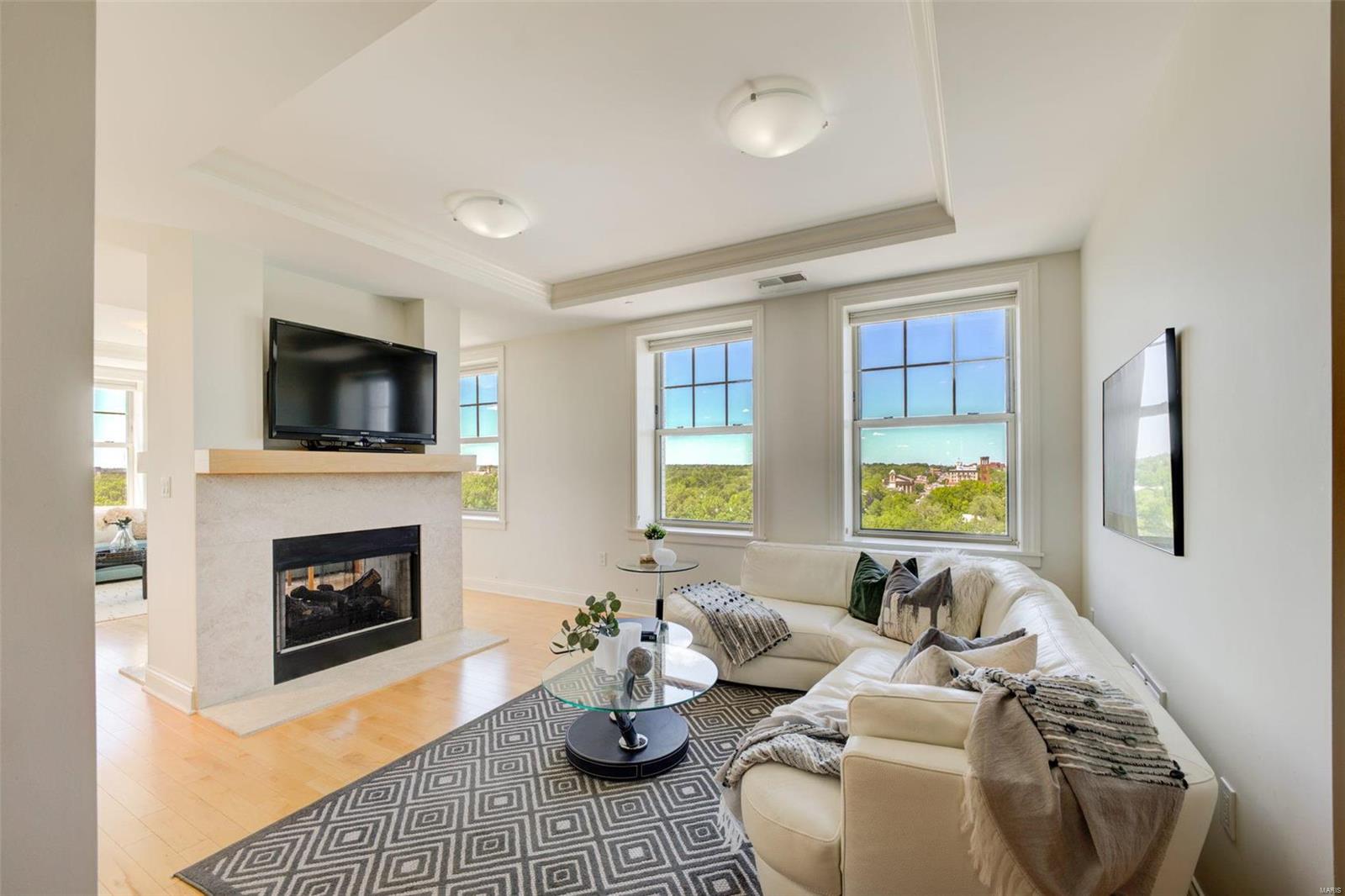 Residences at Park Plaza - Residential