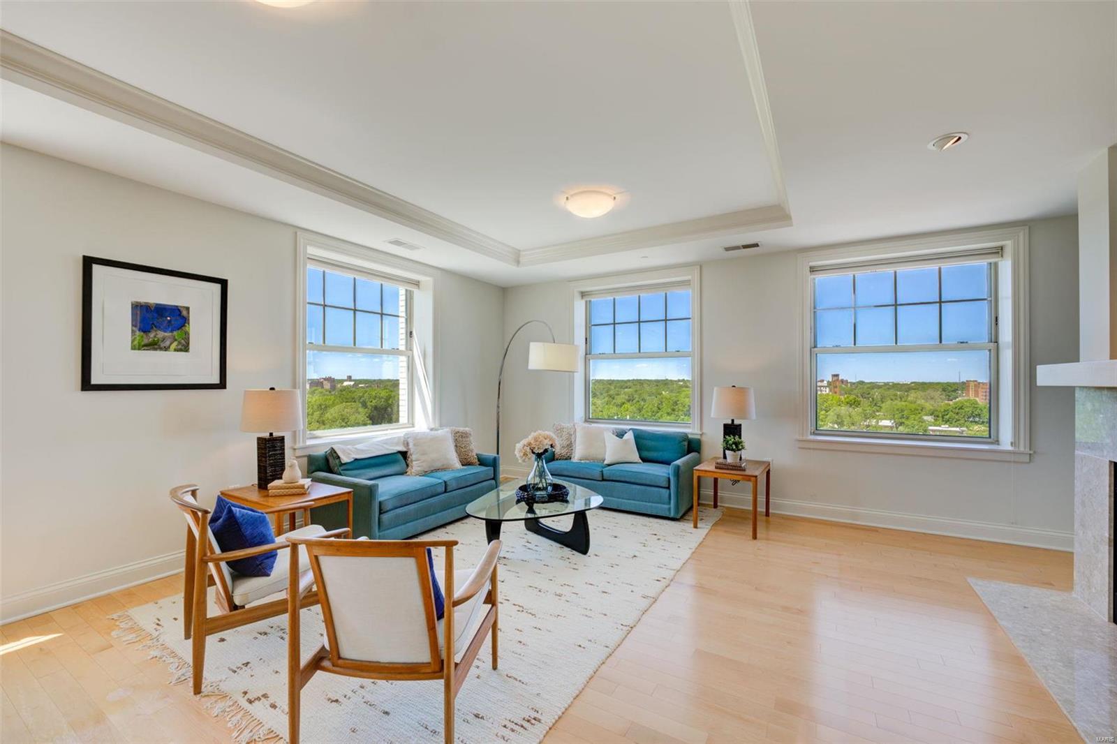 Residences at Park Plaza - Residential