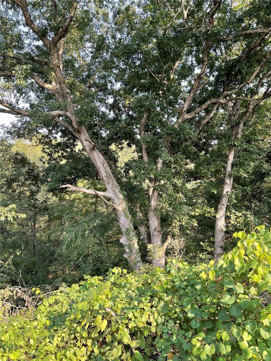 240 acres Putnam County with 80 acres tillable paying $150/acre.  Balance of property is woods, pasture/hay ground, South Blackbird Creek.  There is a new construction trailer on property with sleeping areas, bathroom, and kitchen area.  5 new sniper blinds with food plots at each one. Manicured trails give access to entire farm.  Very sought after area for trophy whitetail and turkey. Farm has back door access to Mineral Hills Conservation area, offering 600+ acres of timber for hunting. County water and septic. Older equipment shed.