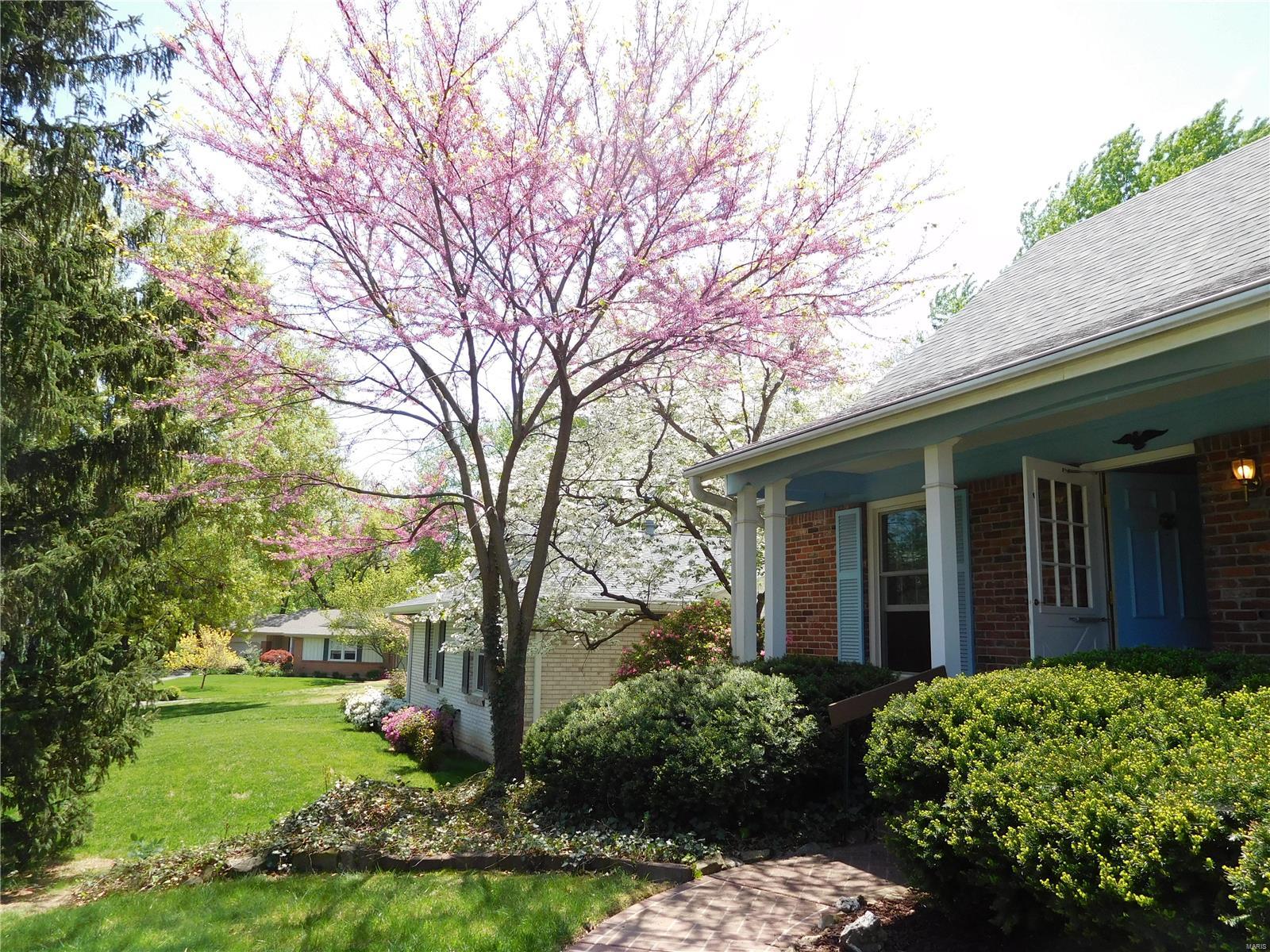 Wild-Wood - Residential